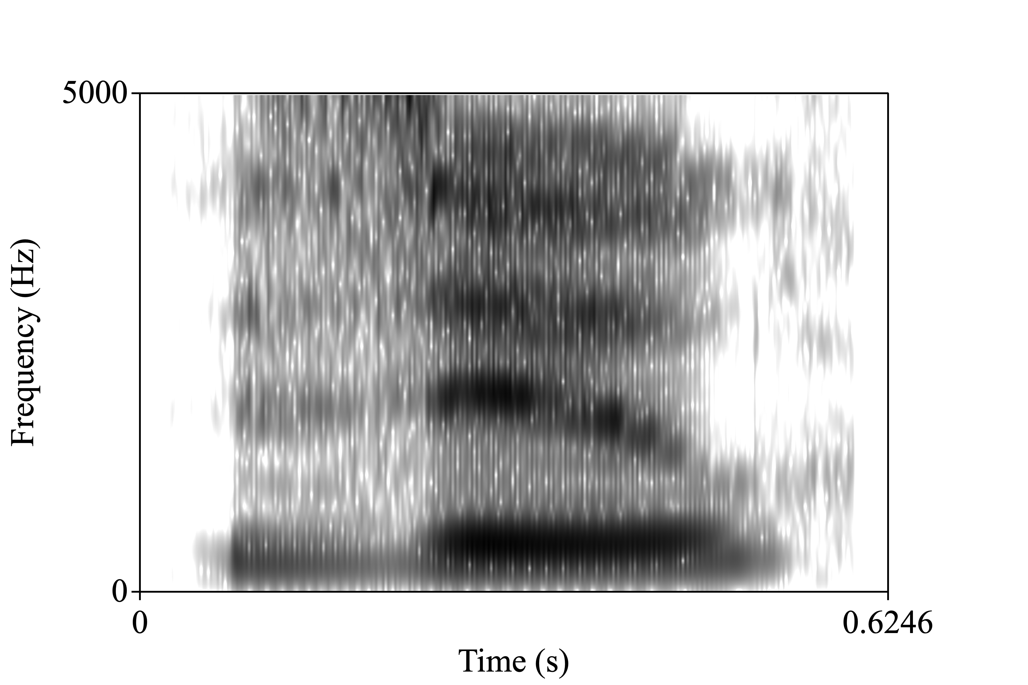 zoo spectrogram