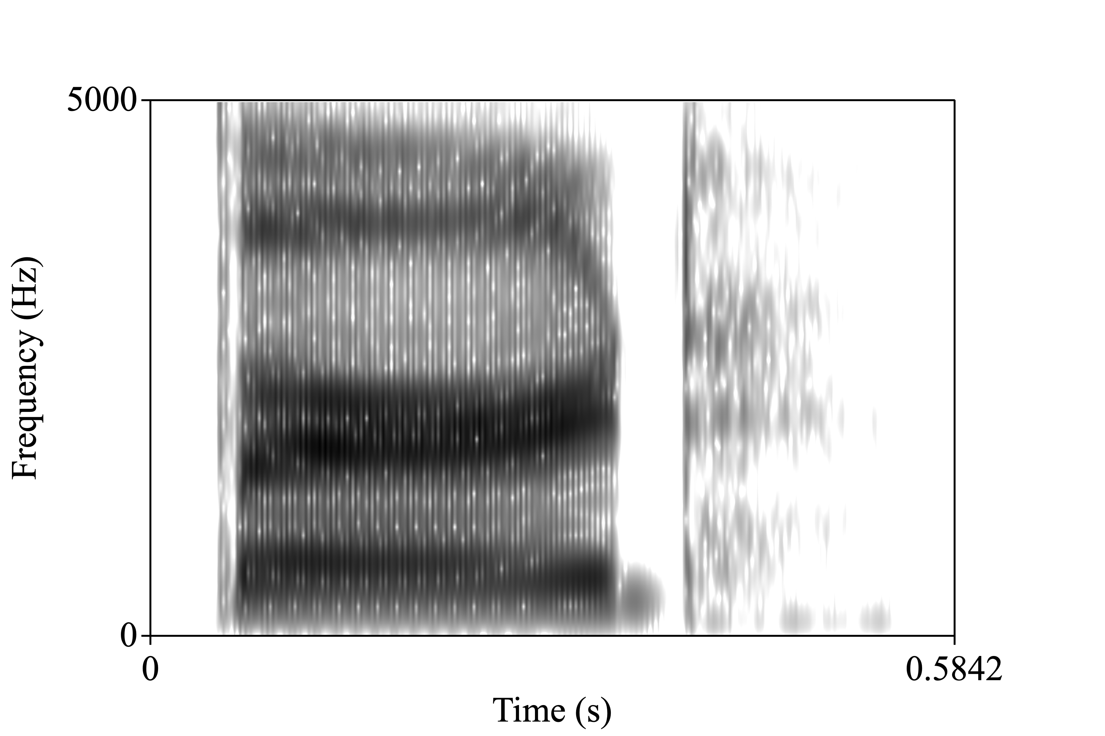 bird spectrogram