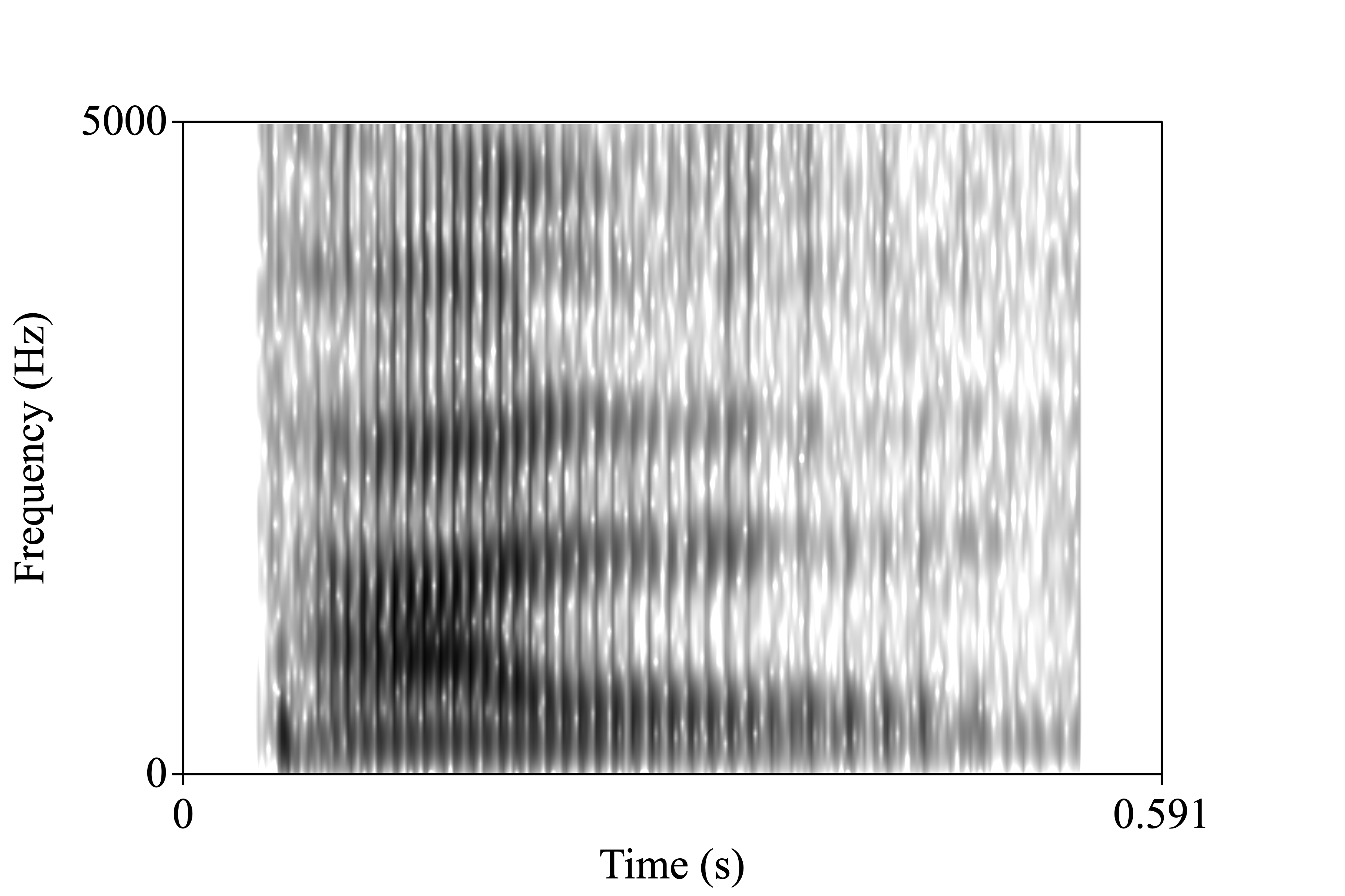 foot spectrogram