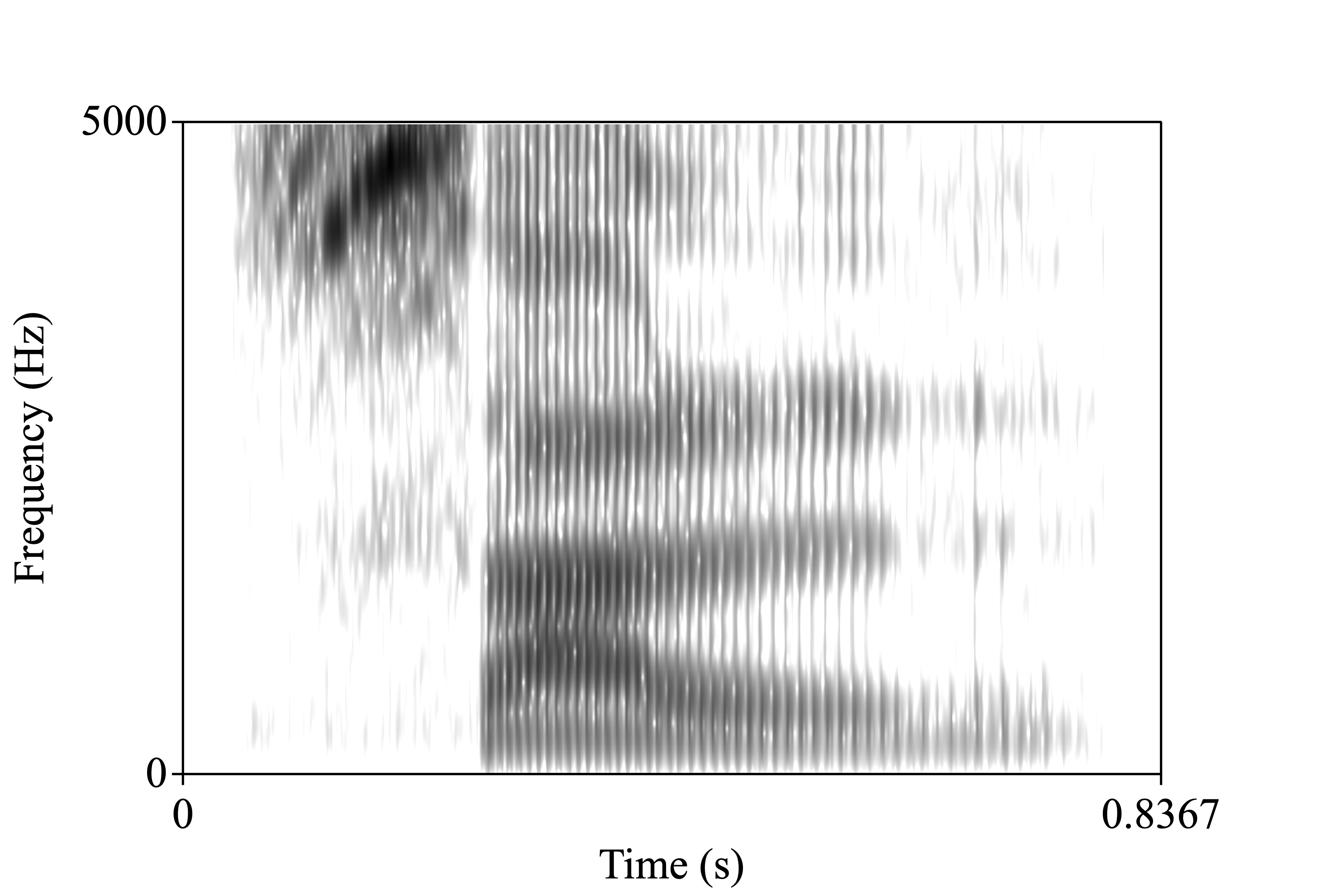 rice spectrogram